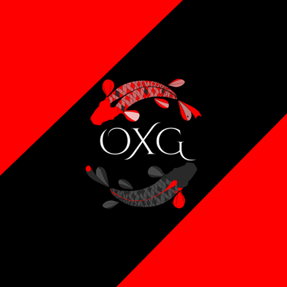 OXG PAGINA